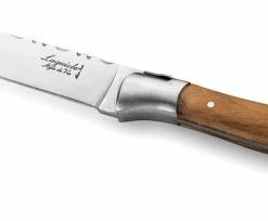 Hete verkoop π€© Laguiole Style De Vie Messenblok Luxury Line - 5-delig - Olijfhout π 26 Hete verkoop π€© Laguiole Style De Vie Messenblok Luxury Line - 5-delig - Olijfhout π -T-fal winkle 550x204 1