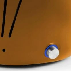 Coupon π Fire Beam Kansas Tafelbarbecue Lotus, Groen βοΈ 30 Coupon π Fire Beam Kansas Tafelbarbecue Lotus, Groen βοΈ -T-fal winkle 550x342