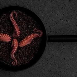 Promo 👏 Combekk Koekenpan Recycled - Aluminium - 24cm 😍 -T-fal winkle 550x344