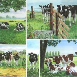 Korting 😍 Wiebe Van Der Zee Placemat (Set Van 6 Stuks) 😍