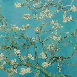 Begroting 👍 Boska Van Gogh - Kaasschaaf - Amandelbloesem - 220x75 X15 Mm 🌟 -T-fal winkle 550x387 3