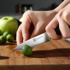 Korting ✔️ PAUDIN N8 Professioneel RVS Japans Groentemes 9 Cm - Vlijmscherp Schilmes Gemaakt Van Hoogwaardig Roestvast Duits Carbonstaal - Damascus Patroon - Klein Officemes - Nu Extra Scherp Geprijst - Black Friday - Sint En Kerst 😉 -T-fal winkle 550x393 8