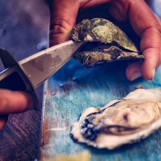 Beste recensies van π€© Orange85 Oestermes - Oesterbreekmes - Zwart - 14.5x5x1.7 Cm - RVS π 3 Beste recensies van π€© Orange85 Oestermes - Oesterbreekmes - Zwart - 14.5x5x1.7 Cm - RVS π - Afbeelding 3