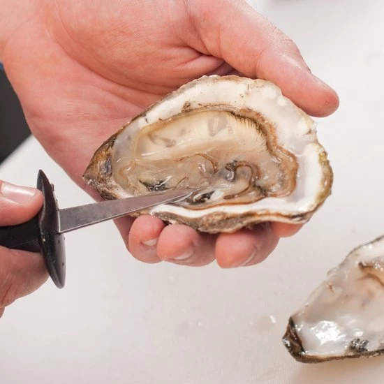 Beste recensies van π€© Orange85 Oestermes - Oesterbreekmes - Zwart - 14.5x5x1.7 Cm - RVS π 4 Beste recensies van π€© Orange85 Oestermes - Oesterbreekmes - Zwart - 14.5x5x1.7 Cm - RVS π - Afbeelding 4