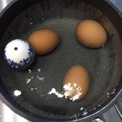 Uitgang ✔️ Brutus Kookt! PiepEi Eierwekker - Elvis 🎉 -T-fal winkle 550x733